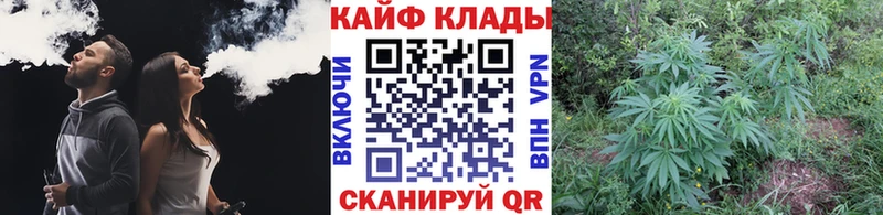 Где купить наркоту Мирный Канабис  Alpha-PVP  ГАШИШ  Мефедрон 