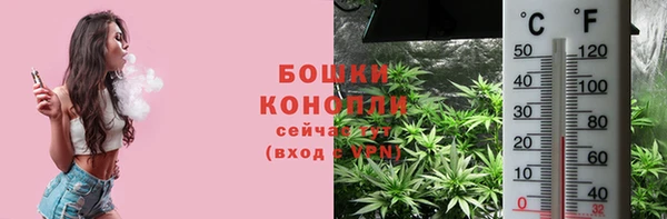 СК Арсеньев