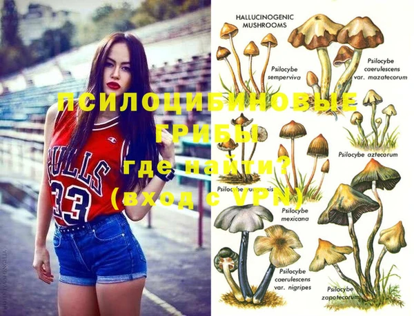 ПСИЛОЦИБИНОВЫЕ ГРИБЫ Аркадак