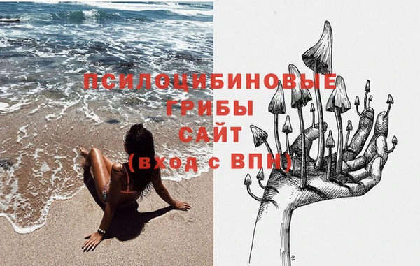 СК Арсеньев