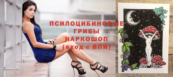 ПСИЛОЦИБИНОВЫЕ ГРИБЫ Аркадак