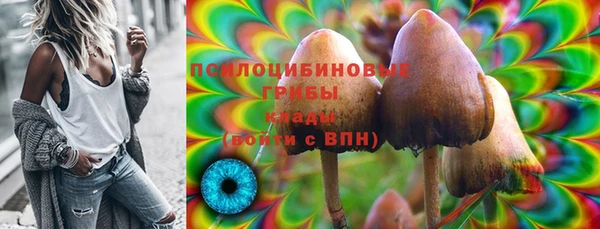 ПСИЛОЦИБИНОВЫЕ ГРИБЫ Аркадак