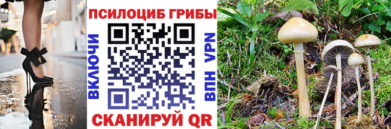 Галлюциногенные грибы мухоморы Мирный